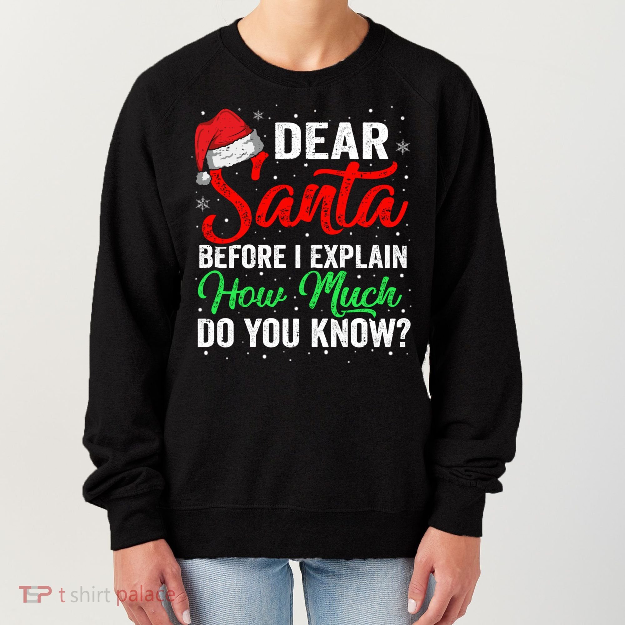Dear Santa I Can Explain Funny Christmas Gift Adults Gift Women's Sweatshirt