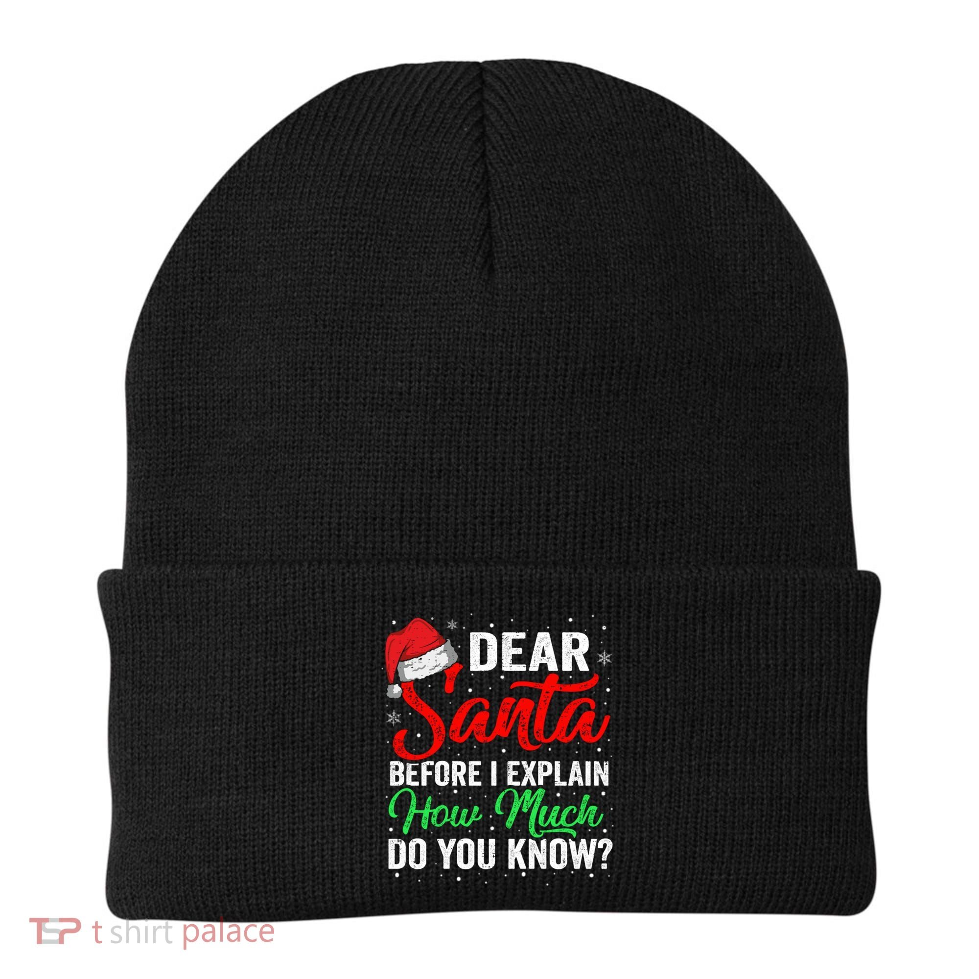 Dear Santa I Can Explain Funny Christmas Gift Adults Gift Beanie