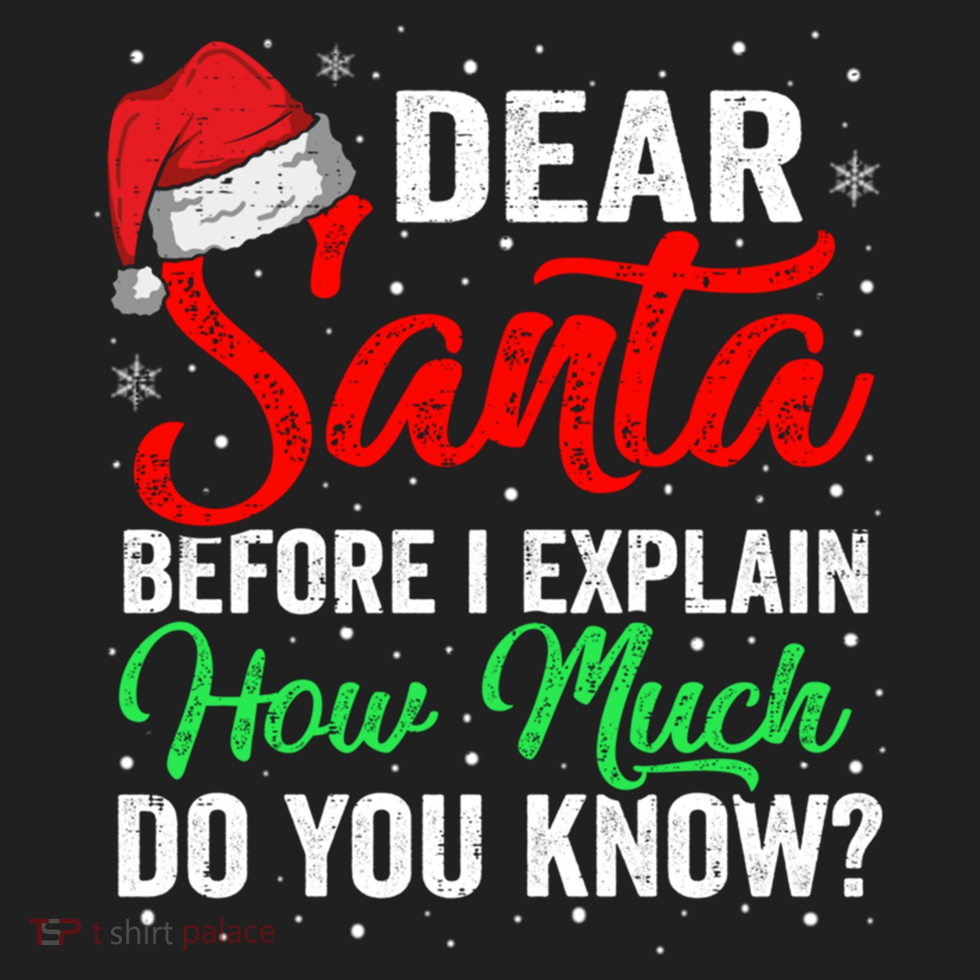 Dear Santa I Can Explain Funny Christmas Gift Adults Gift Beanie
