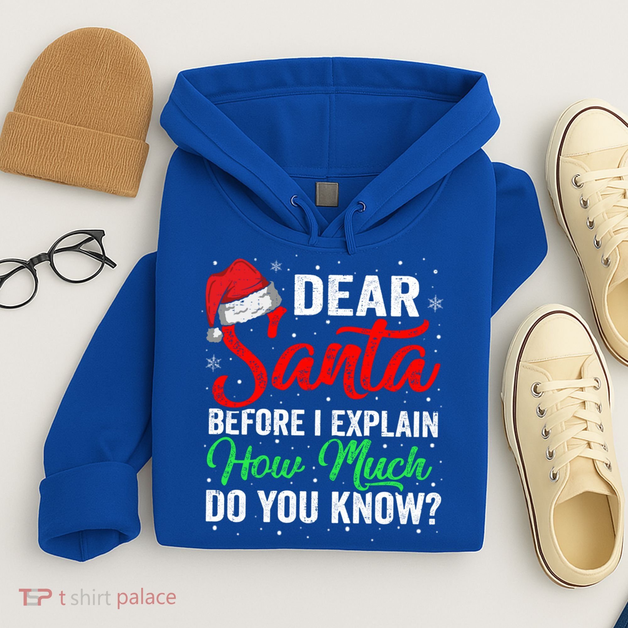 Dear Santa I Can Explain Funny Christmas Gift Adults Gift Hoodie