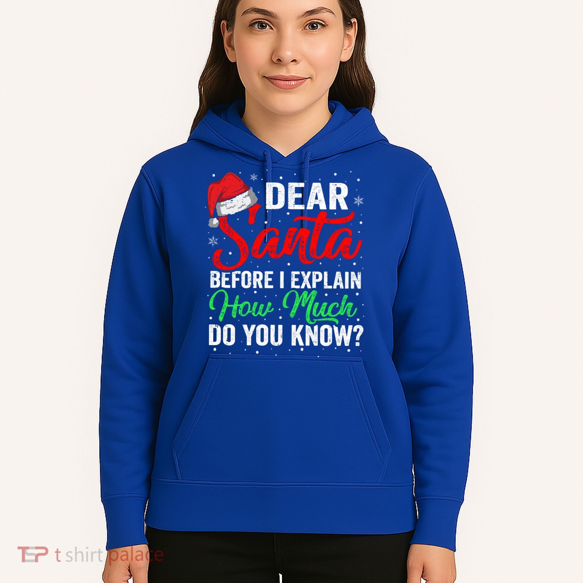 Dear Santa I Can Explain Funny Christmas Gift Adults Gift Hoodie