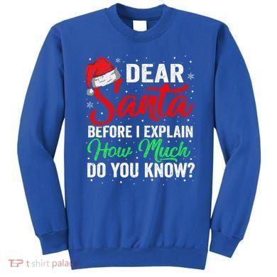 Dear Santa I Can Explain Funny Christmas Gift Adults Gift Sweatshirt