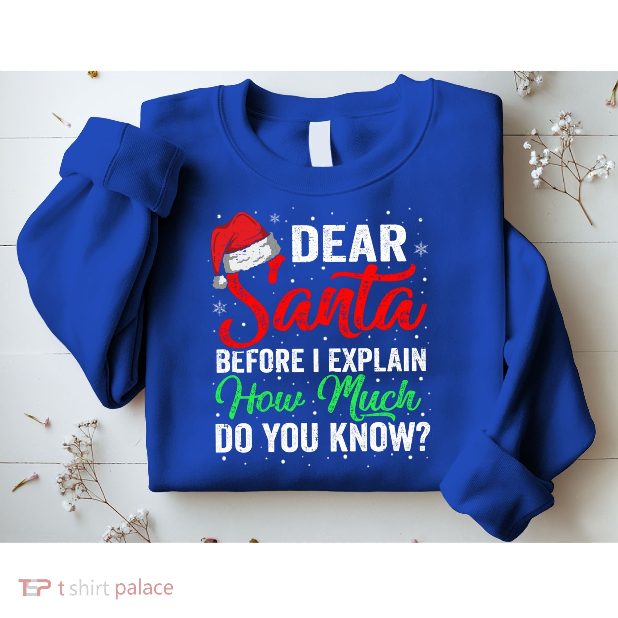 Dear Santa I Can Explain Funny Christmas Gift Adults Gift Sweatshirt