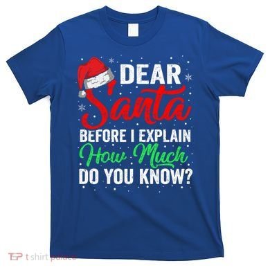 Dear Santa I Can Explain Funny Christmas Gift Adults Gift T-Shirt