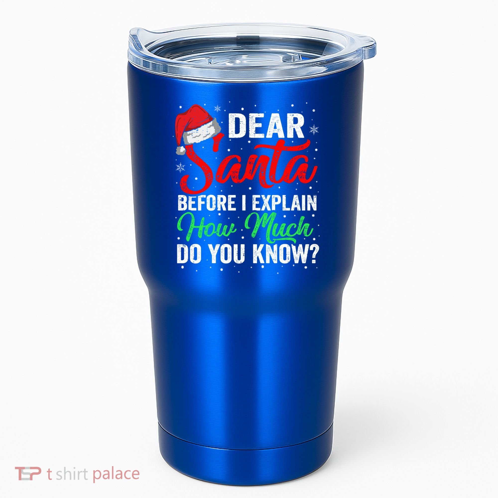 Dear Santa I Can Explain Funny Christmas Gift Adults Gift Tumbler
