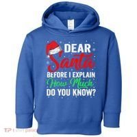 Dear Santa I Can Explain Funny Christmas Gift Adults Gift Toddler Hoodie thumb 0
