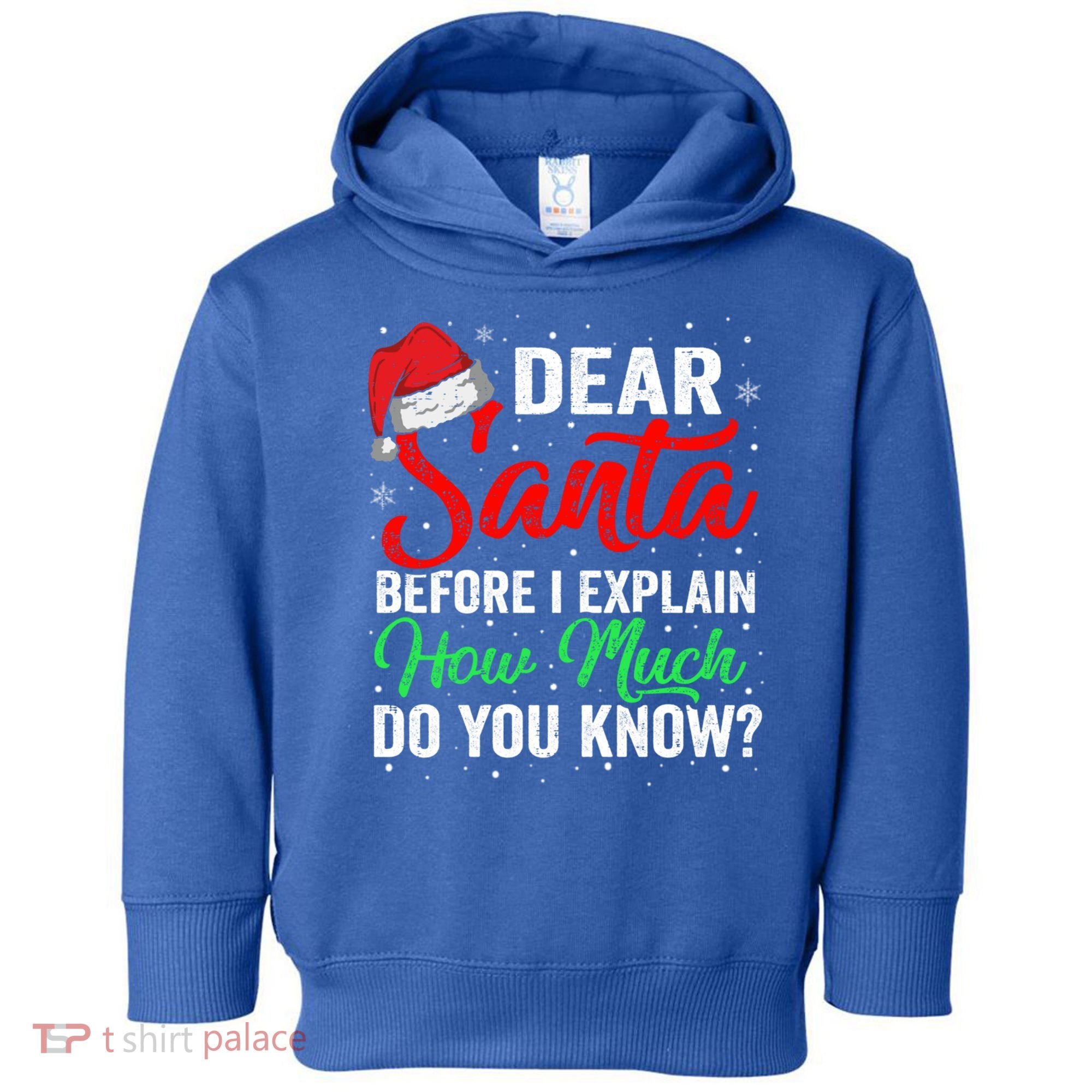 Dear Santa I Can Explain Funny Christmas Gift Adults Gift Toddler Hoodie
