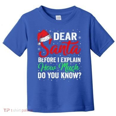 Dear Santa I Can Explain Funny Christmas Gift Adults Gift Toddler T-Shirt