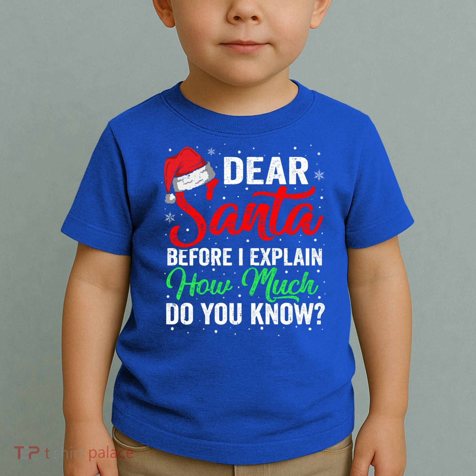 Dear Santa I Can Explain Funny Christmas Gift Adults Gift Toddler T-Shirt