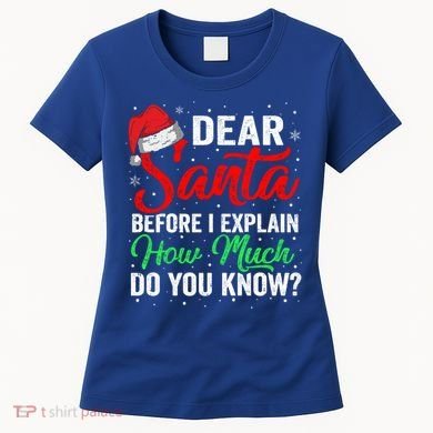 Dear Santa I Can Explain Funny Christmas Gift Adults Gift Women's T-Shirt