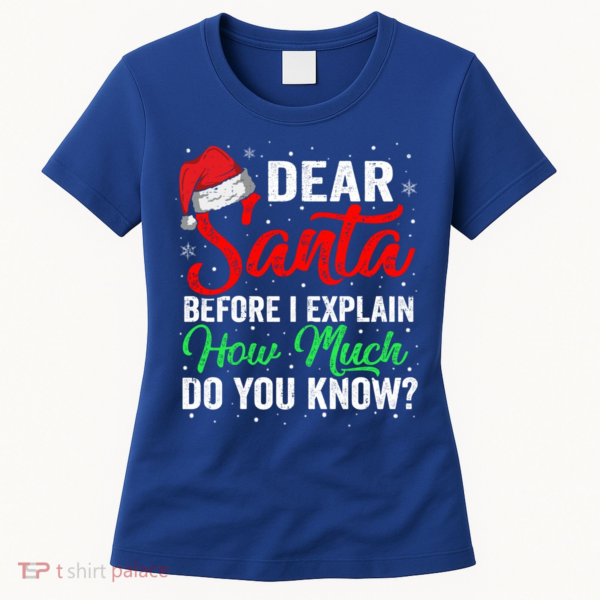 Dear Santa I Can Explain Funny Christmas Gift Adults Gift Women's T-Shirt