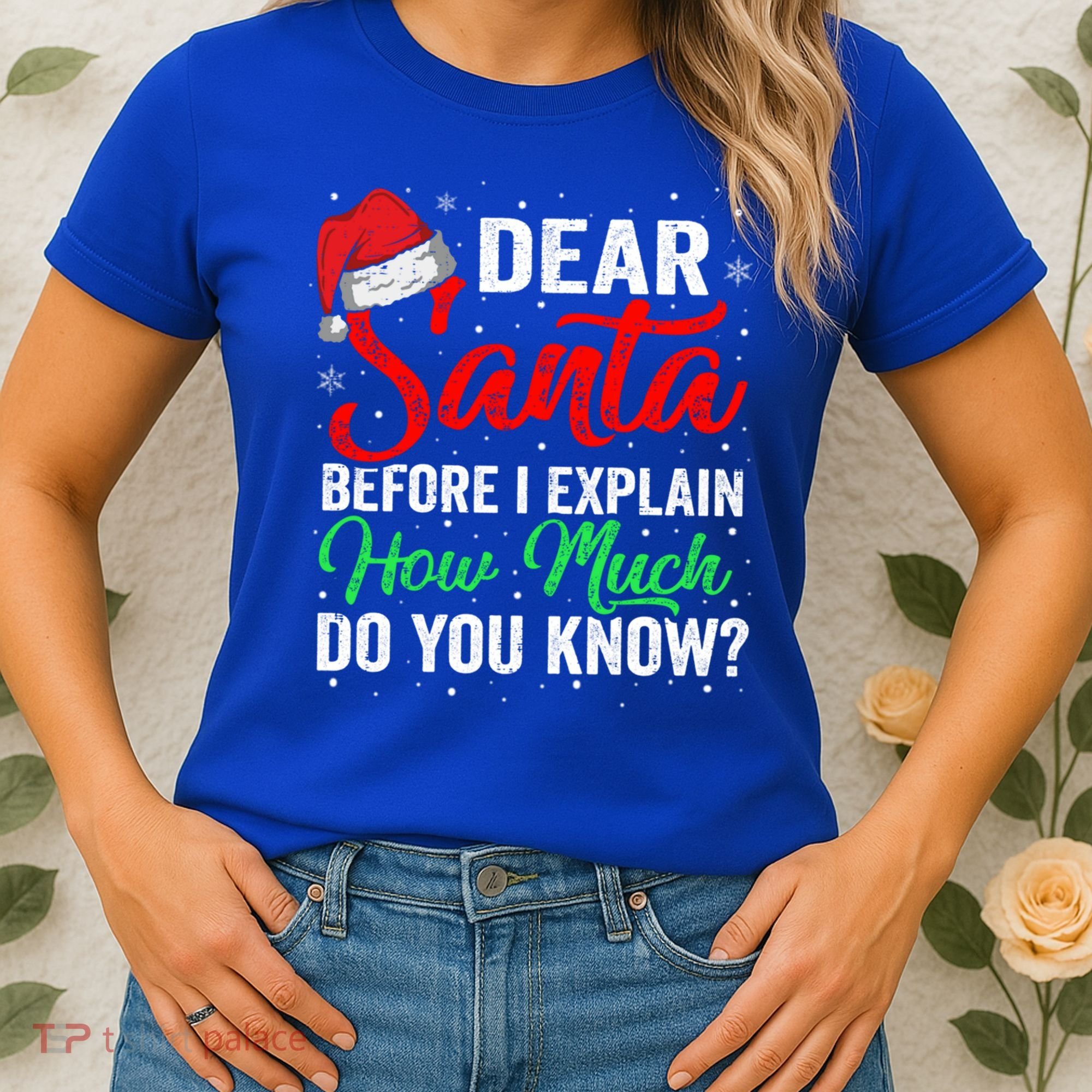 Dear Santa I Can Explain Funny Christmas Gift Adults Gift Women's T-Shirt