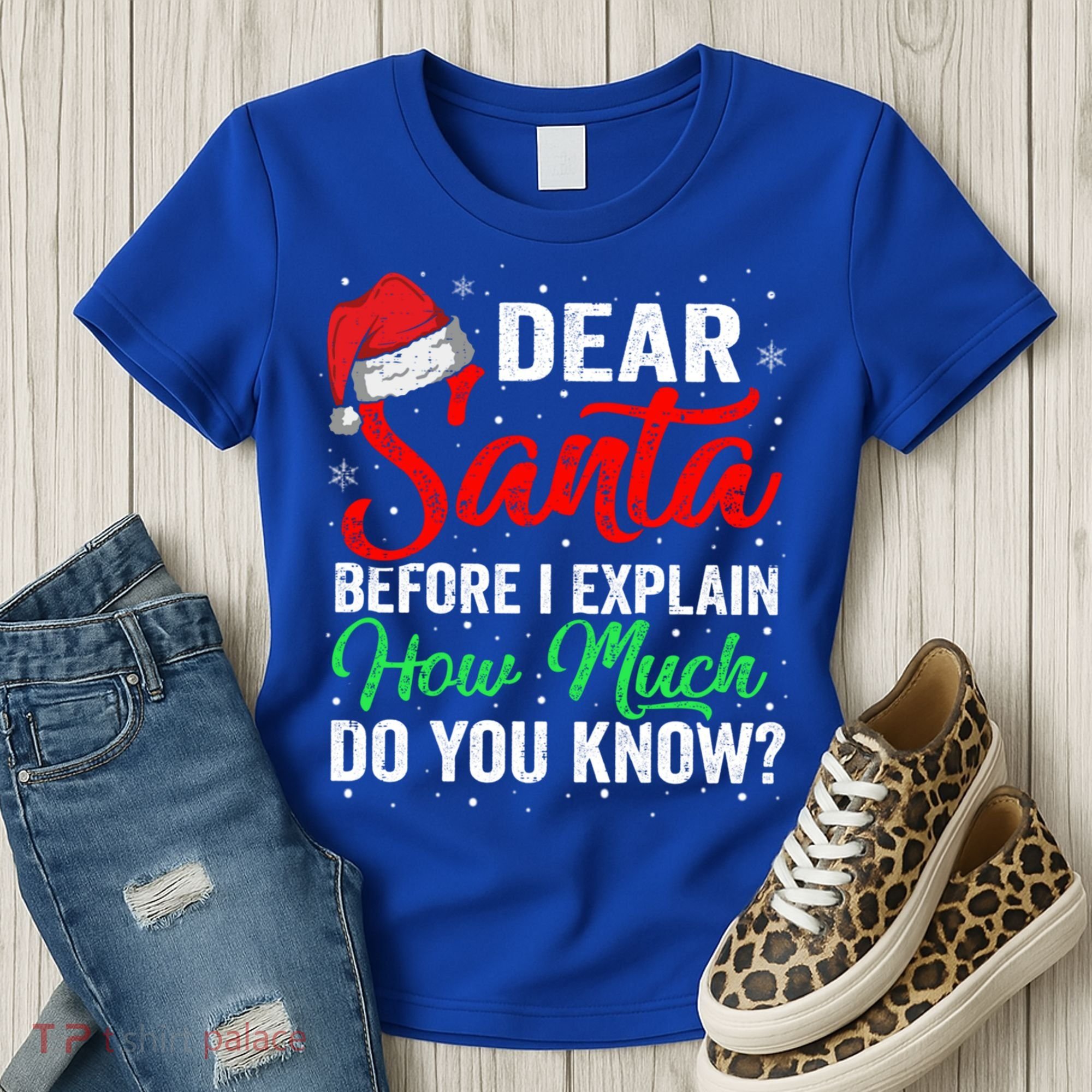 Dear Santa I Can Explain Funny Christmas Gift Adults Gift Women's T-Shirt
