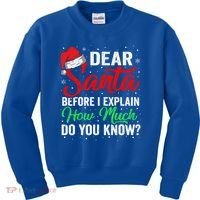 Dear Santa I Can Explain Funny Christmas Gift Adults Gift Kids Sweatshirt thumb 0