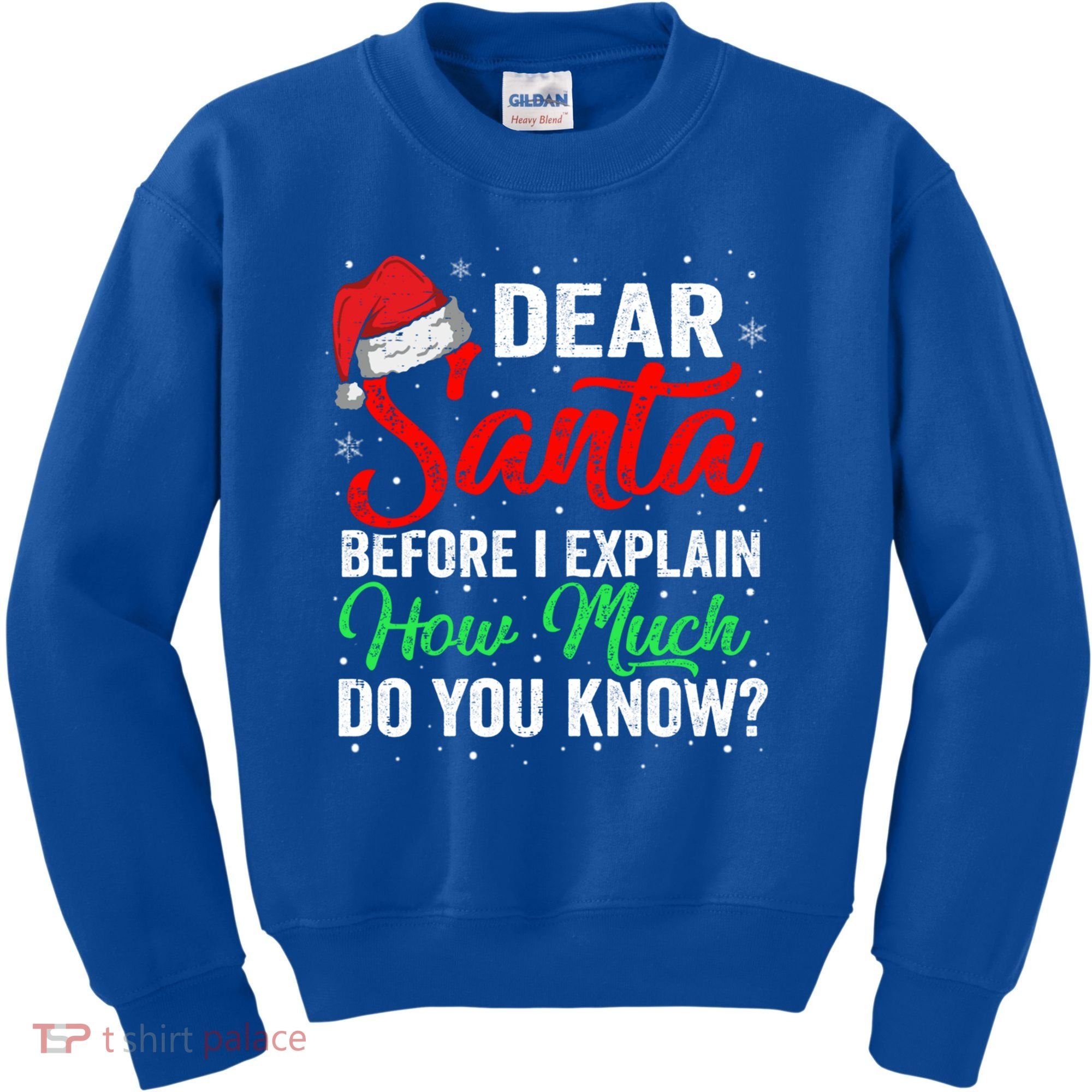 Dear Santa I Can Explain Funny Christmas Gift Adults Gift Kids Sweatshirt