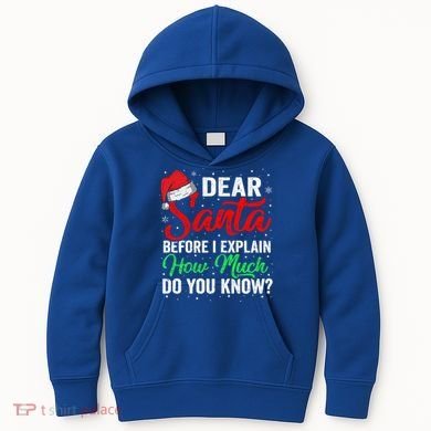 Dear Santa I Can Explain Funny Christmas Gift Adults Gift Kids Hoodie