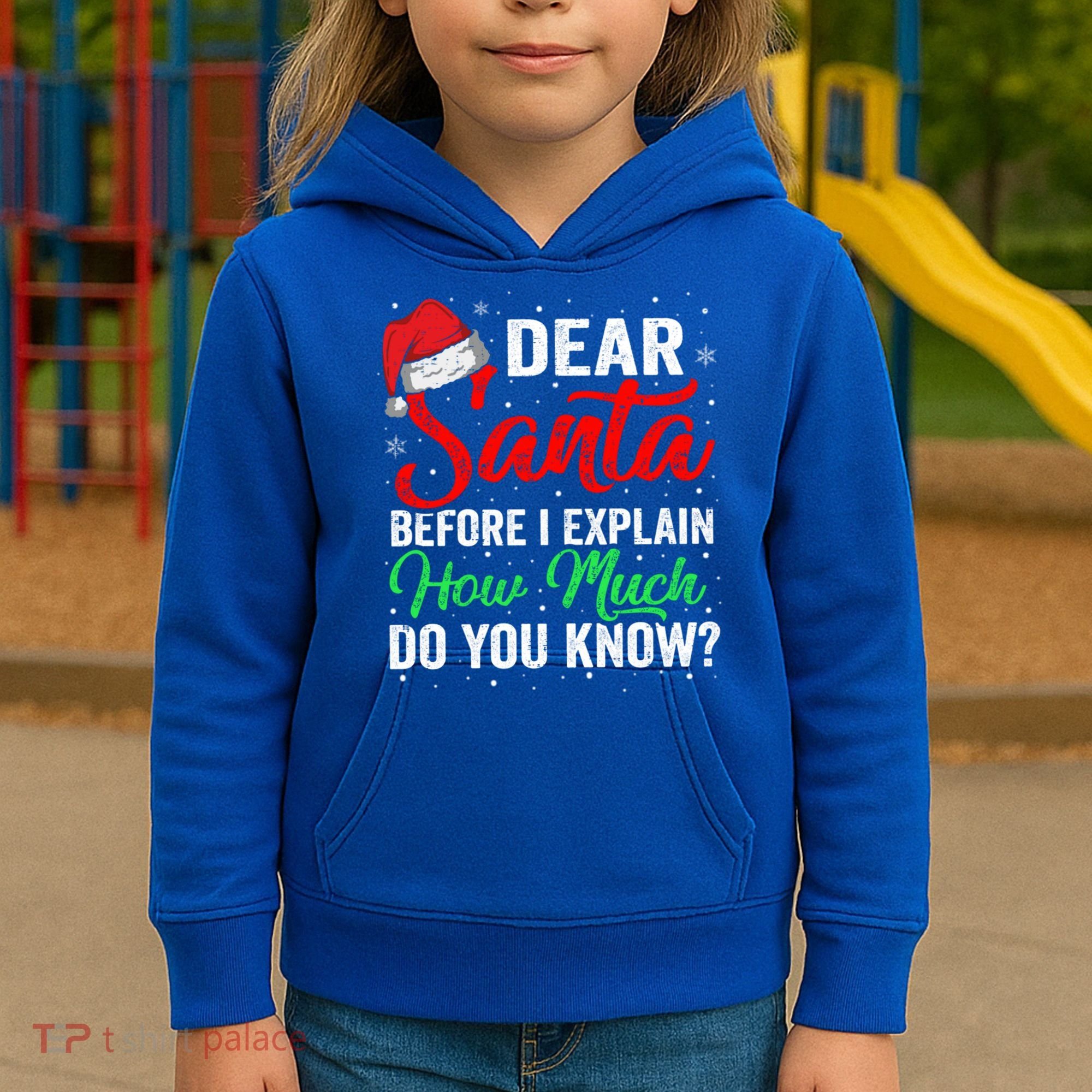 Dear Santa I Can Explain Funny Christmas Gift Adults Gift Kids Hoodie