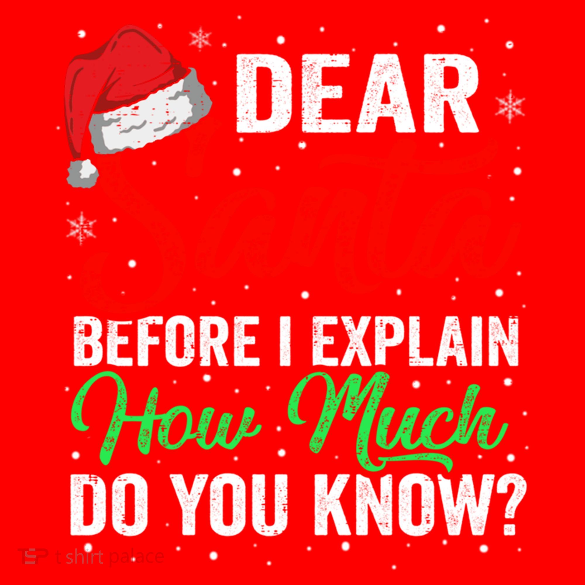 Dear Santa I Can Explain Funny Christmas Gift Adults Gift Santa Hat