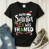Dear Santa I Was Framed Women's T-Shirt thumb 3