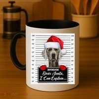 Dear Santa I Can Explain Funny Christmas Weimaraner Xmas Coffee Mug thumb 4