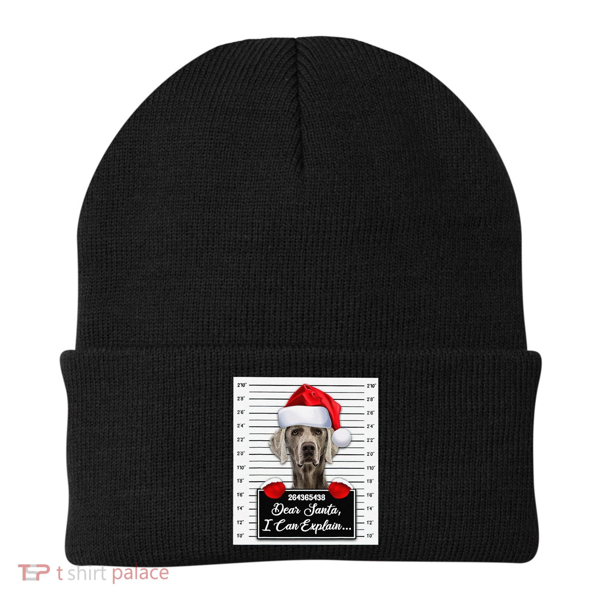 Dear Santa I Can Explain Funny Christmas Weimaraner Xmas Beanie