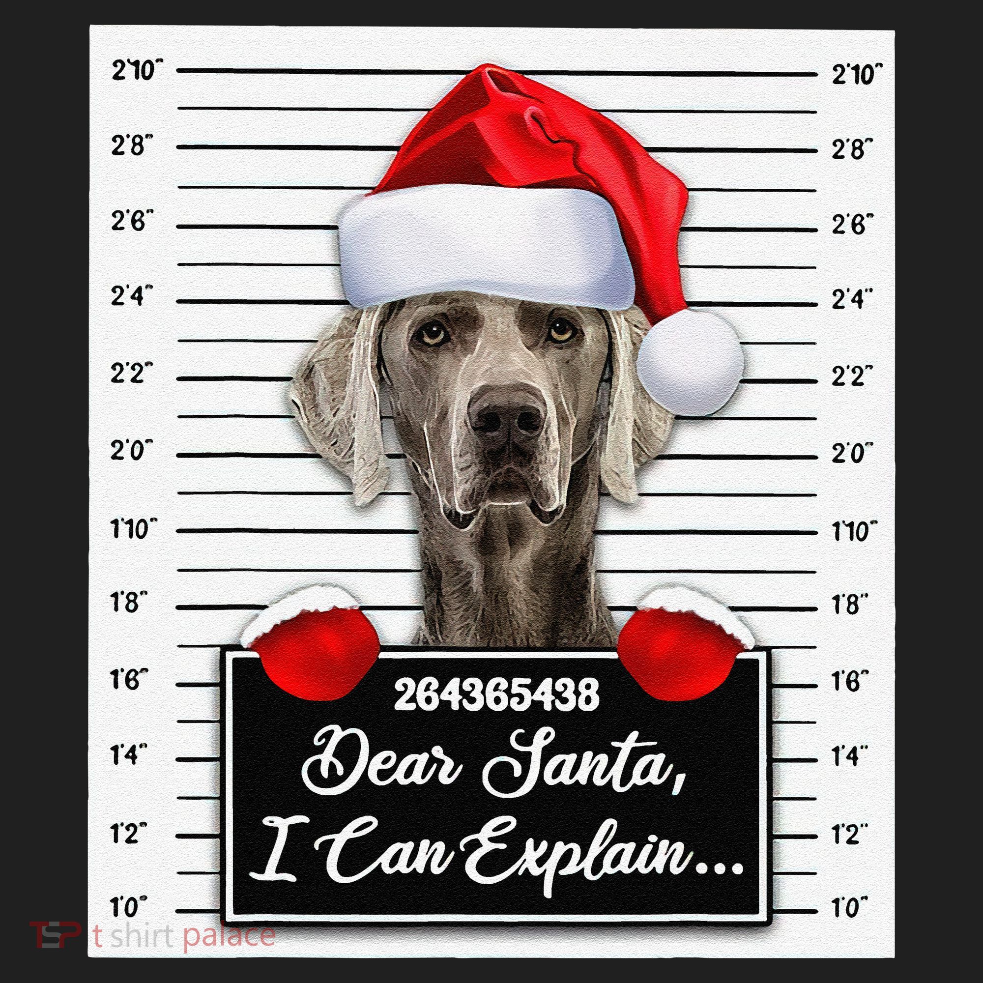 Dear Santa I Can Explain Funny Christmas Weimaraner Xmas Beanie
