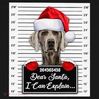 Dear Santa I Can Explain Funny Christmas Weimaraner Xmas Women's Hoodie thumb 2
