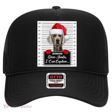 Dear Santa I Can Explain Funny Christmas Weimaraner Xmas Hat
