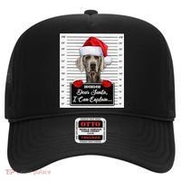 Dear Santa I Can Explain Funny Christmas Weimaraner Xmas Hat thumb 0