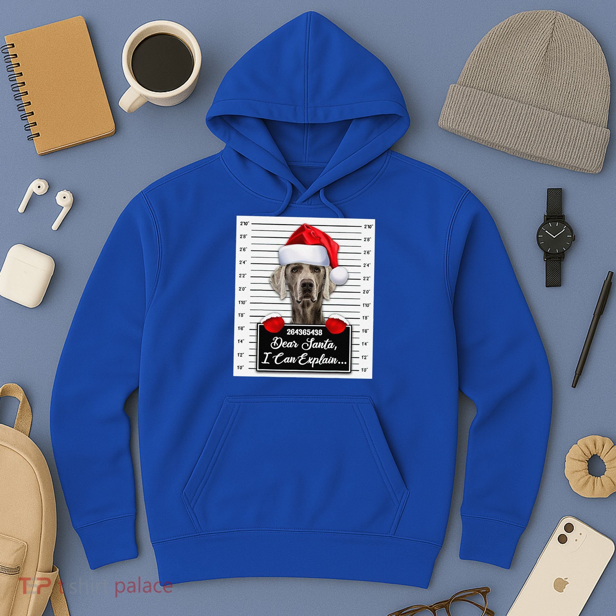Dear Santa I Can Explain Funny Christmas Weimaraner Xmas Hoodie