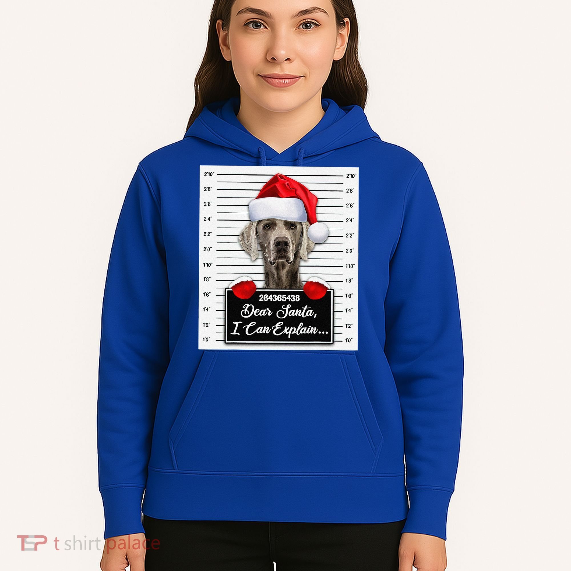 Dear Santa I Can Explain Funny Christmas Weimaraner Xmas Hoodie