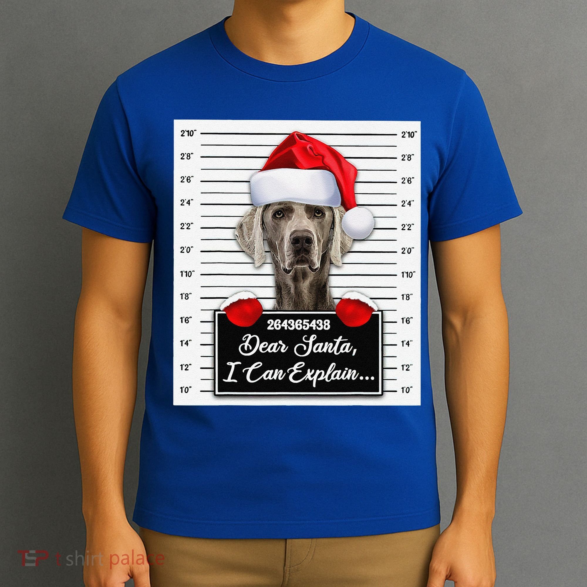 Dear Santa I Can Explain Funny Christmas Weimaraner Xmas T-Shirt