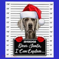 Dear Santa I Can Explain Funny Christmas Weimaraner Xmas Women's Tank Top thumb 5
