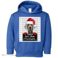 Dear Santa I Can Explain Funny Christmas Weimaraner Xmas Toddler Hoodie thumb 0