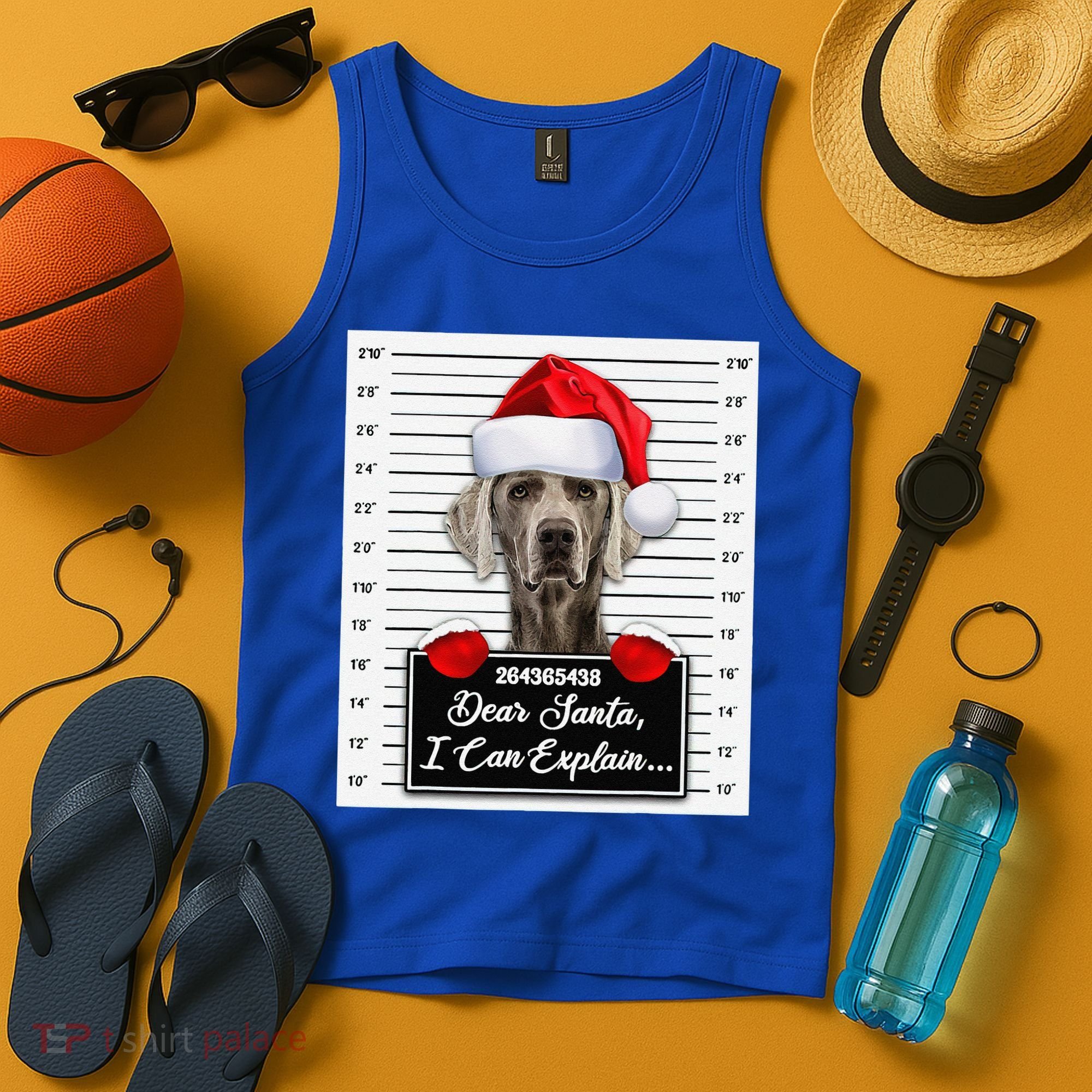 Dear Santa I Can Explain Funny Christmas Weimaraner Xmas Tank Top