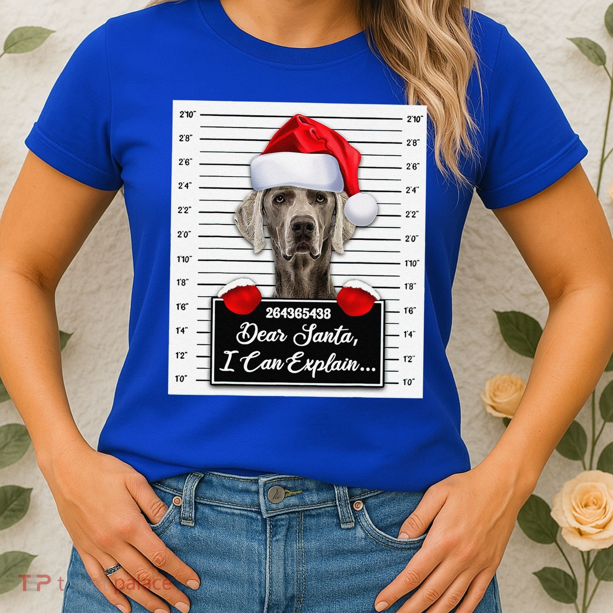 Dear Santa I Can Explain Funny Christmas Weimaraner Xmas Women's T-Shirt