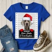 Dear Santa I Can Explain Funny Christmas Weimaraner Xmas Women's T-Shirt thumb 3