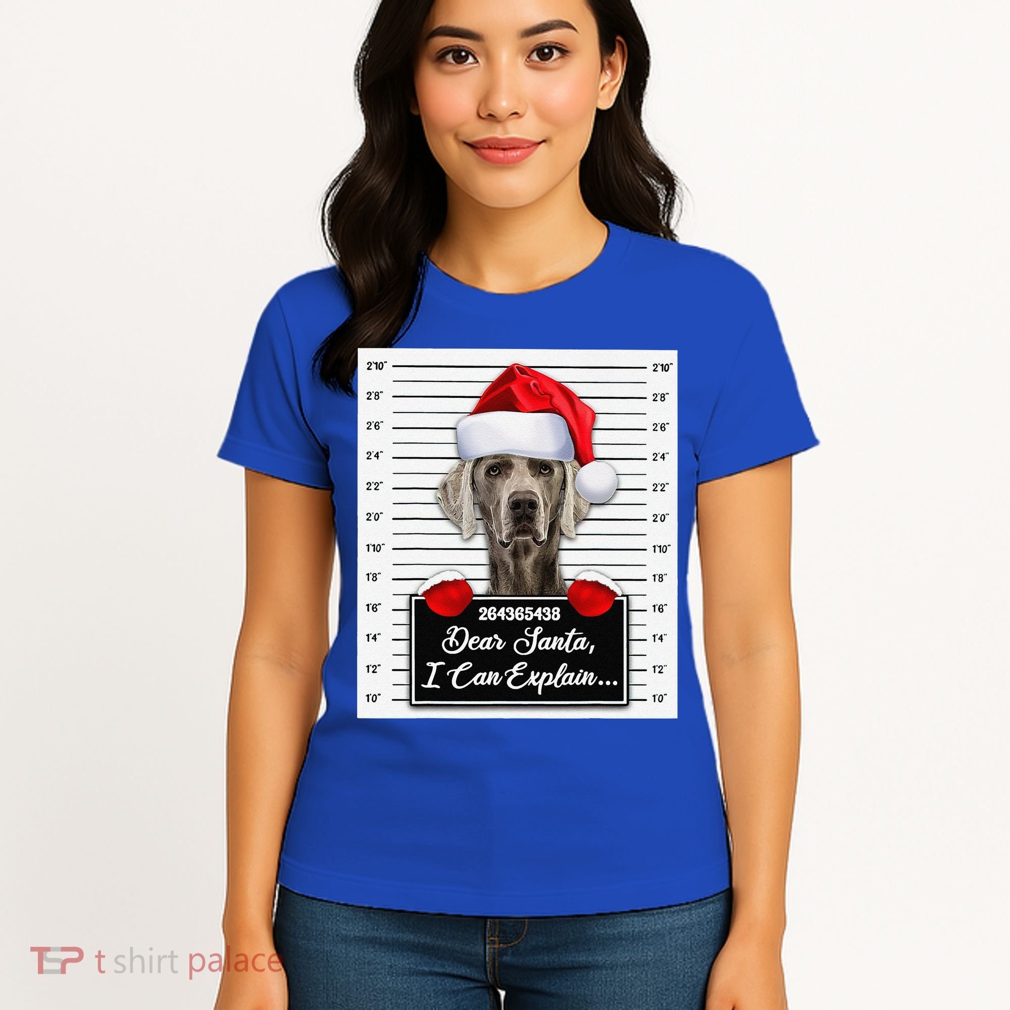 Dear Santa I Can Explain Funny Christmas Weimaraner Xmas Women's T-Shirt