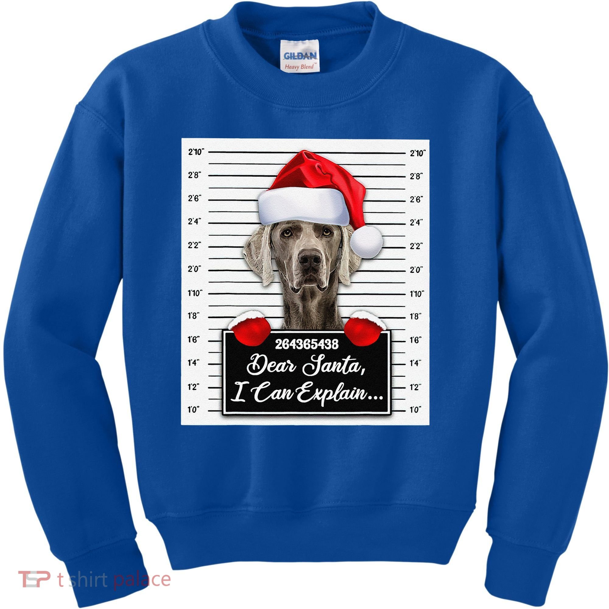 Dear Santa I Can Explain Funny Christmas Weimaraner Xmas Kids Sweatshirt