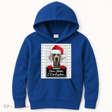 Dear Santa I Can Explain Funny Christmas Weimaraner Xmas Kids Hoodie