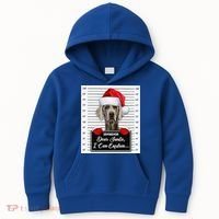 Dear Santa I Can Explain Funny Christmas Weimaraner Xmas Kids Hoodie thumb 0