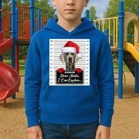 Dear Santa I Can Explain Funny Christmas Weimaraner Xmas Kids Hoodie thumb 2