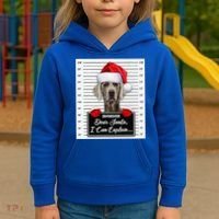 Dear Santa I Can Explain Funny Christmas Weimaraner Xmas Kids Hoodie thumb 3