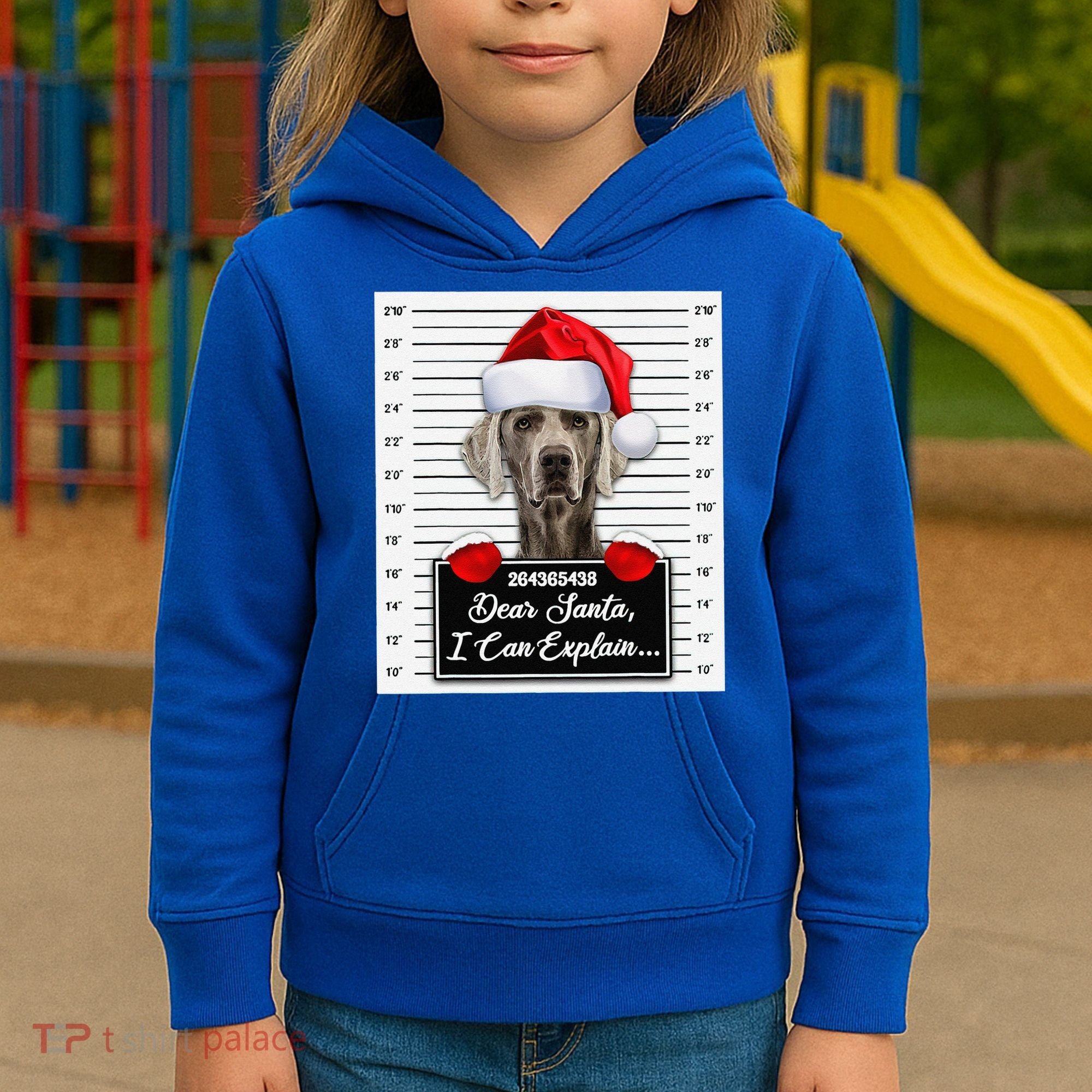 Dear Santa I Can Explain Funny Christmas Weimaraner Xmas Kids Hoodie