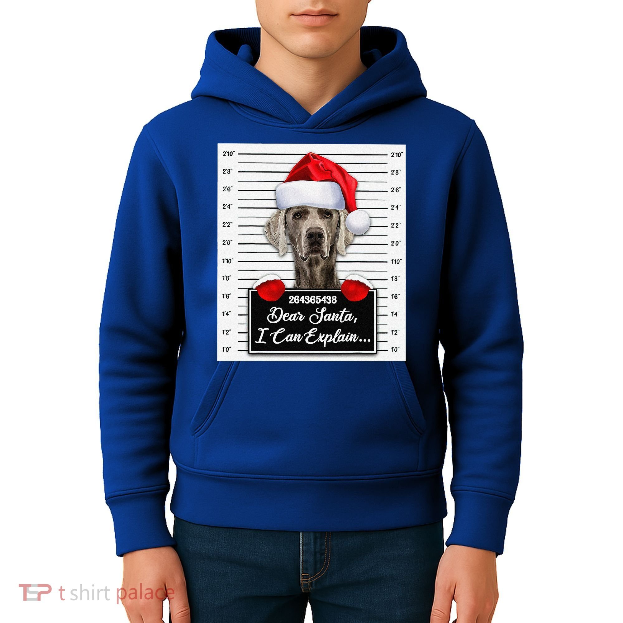 Dear Santa I Can Explain Funny Christmas Weimaraner Xmas Kids Hoodie