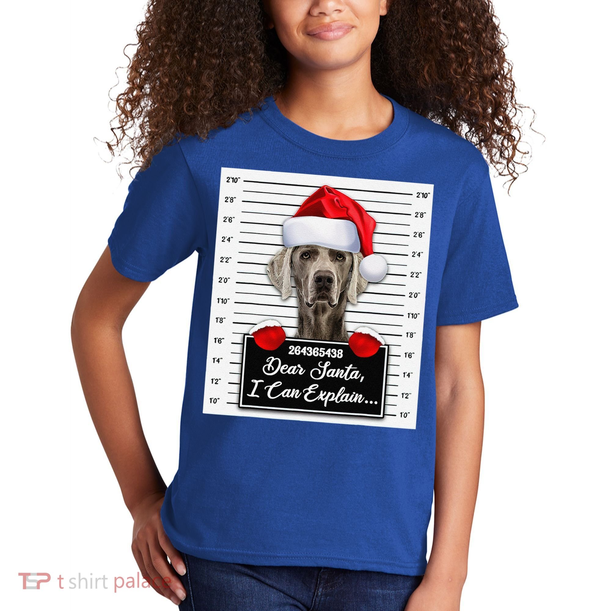 Dear Santa I Can Explain Funny Christmas Weimaraner Xmas Kids T-Shirt