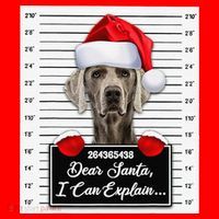 Dear Santa I Can Explain Funny Christmas Weimaraner Xmas Santa Hat thumb 1