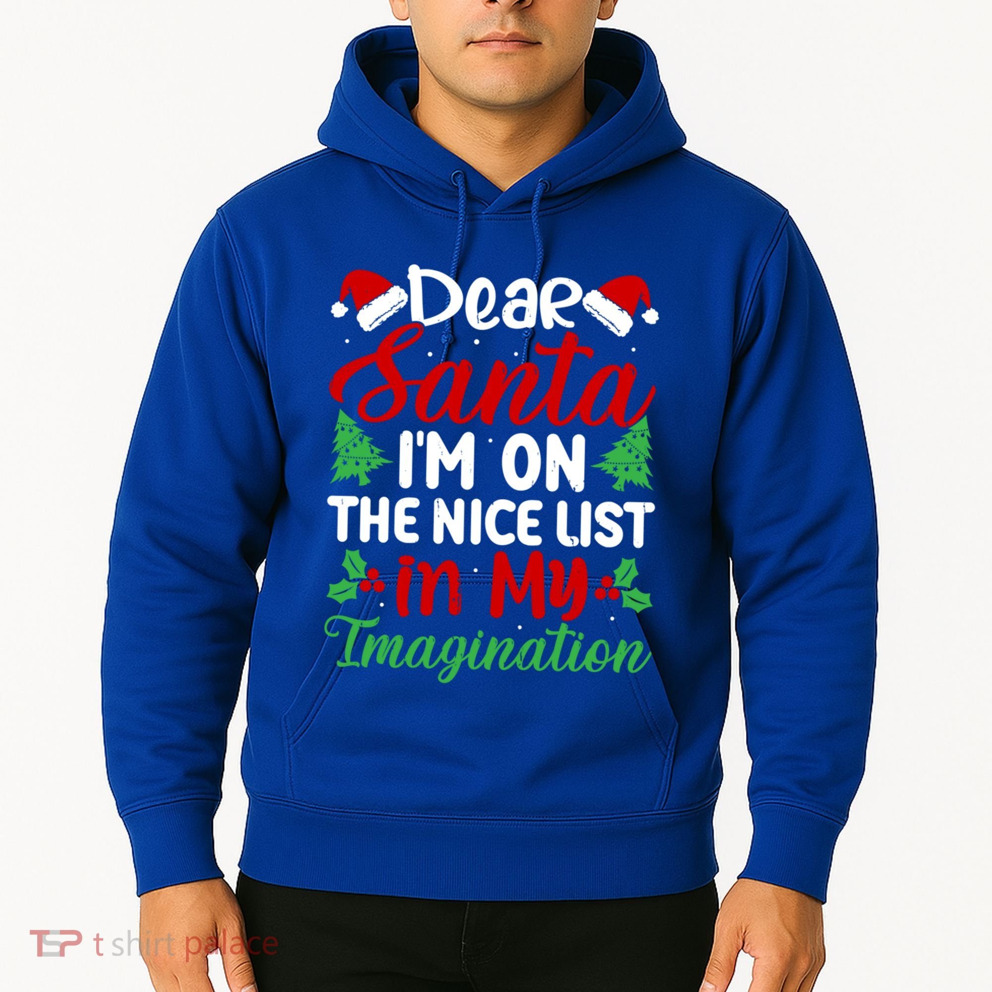 Dear Santa IM On Nice List In My Imagination Xmas Cute Gift Hoodie