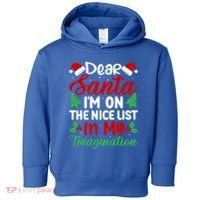 Dear Santa IM On Nice List In My Imagination Xmas Cute Gift Toddler Hoodie thumb 0
