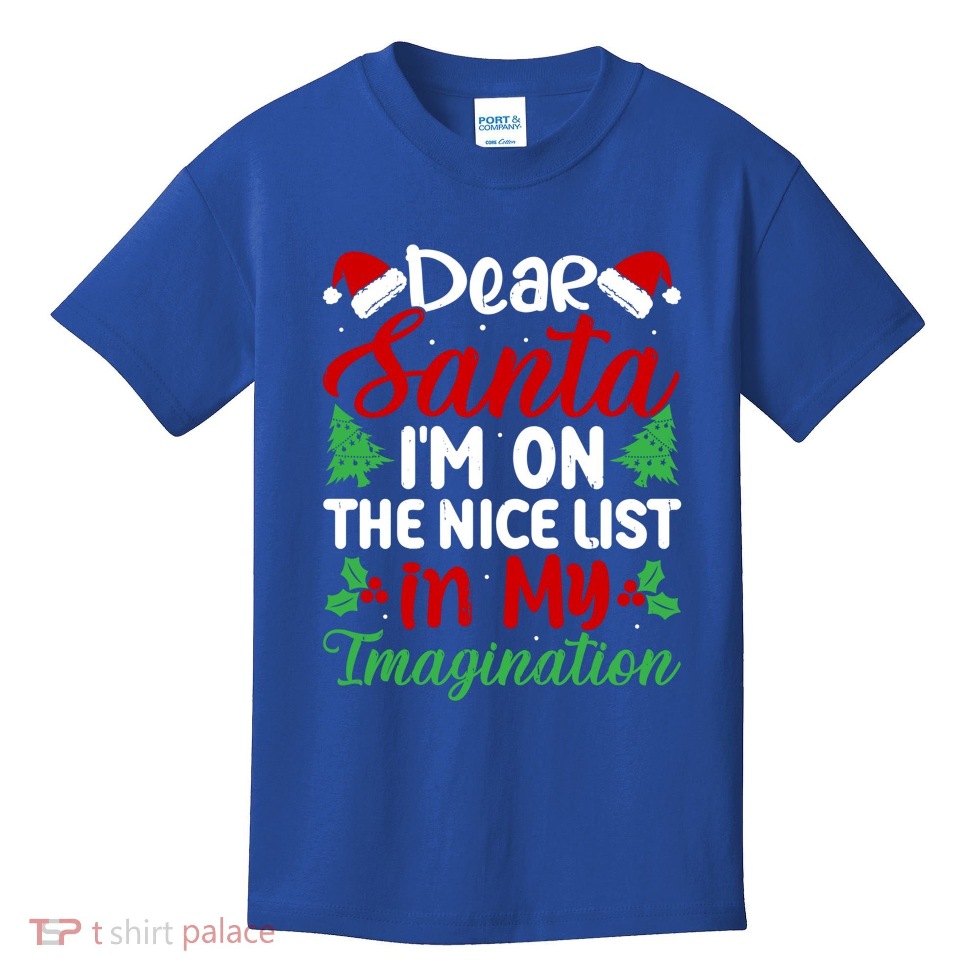 Dear Santa IM On Nice List In My Imagination Xmas Cute Gift Kids T-Shirt